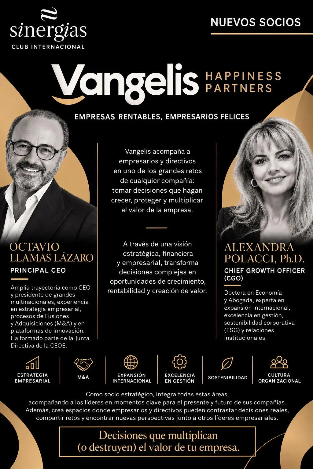 sinergias_ vangelis